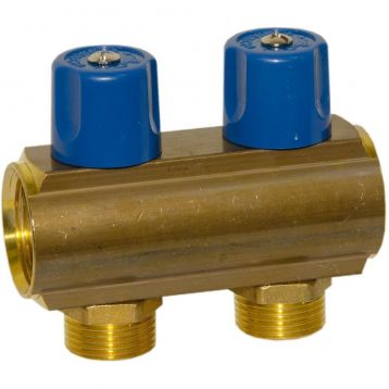 Bianchi Колектор з вентилями d1" х 2 х 3/4"ЗР (blue/синій) I-50 мм (232E06050D)