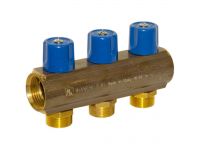 Bianchi Коллектор с вентилями d1" х 3 х 3/4" НР (blue/синий) I-50 мм (233E06050D)