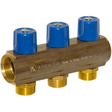 Bianchi Коллектор с вентилями d1" х 3 х 3/4" НР (blue/синий) I-50 мм (233E06050D)