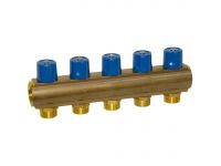 Bianchi Колектор з вентилями d1" х 5 х 3/4"ЗР (blue/синій) I-50 мм (235E06050D)