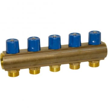 Bianchi Колектор з вентилями d1" х 5 х 3/4"ЗР (blue/синій) I-50 мм (235E06050D)