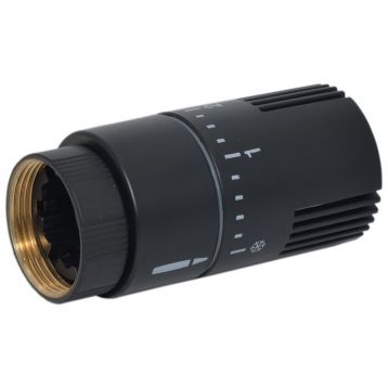 Термостатична головка (рідинний сенсор) Carlo Poletti Srl BLACK MATTE M30 x 1,5 (A49800EFS9005O)