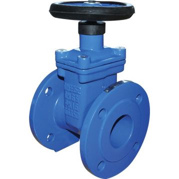 20E900 Засувка (високоміцний чавун) з прогумованим клином DN65 Brandoni S.p.A. (20E900I065V16EEA)