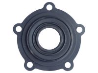 Прокладка для великого фланця BANDINI SCALDABAGNI (M4040002)