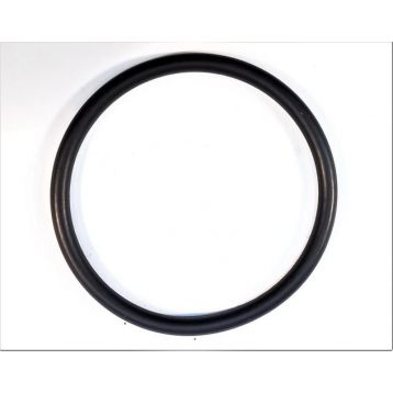 868365 Прокладка змивного механізму WINNER 2 D 53,4 x 4,1 / MEDUSA (модель з 2008 року)